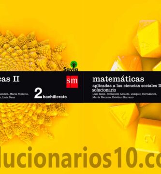 Solucionario Matematicas 2 Bachillerato SM